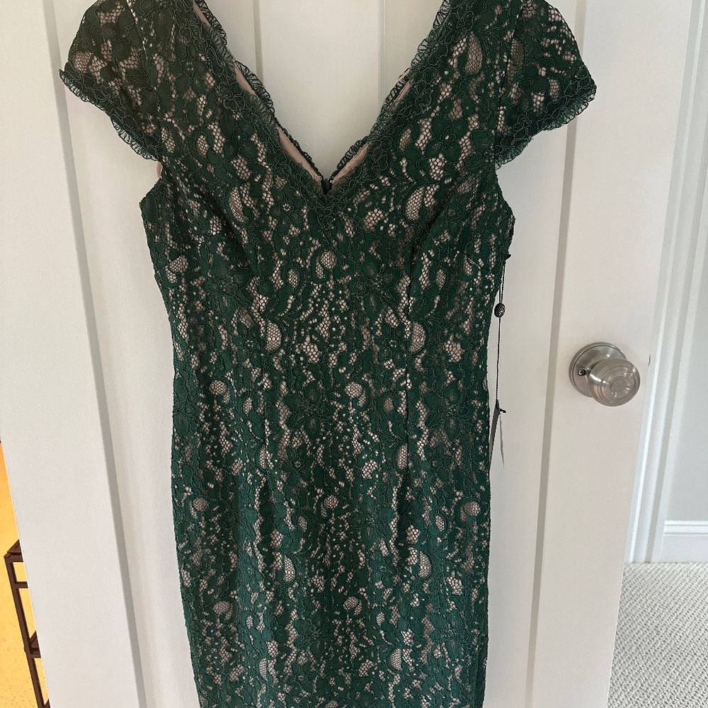 Adrianna Papell Aubrey Lace Dress